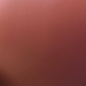 Meet your Posher, Shari